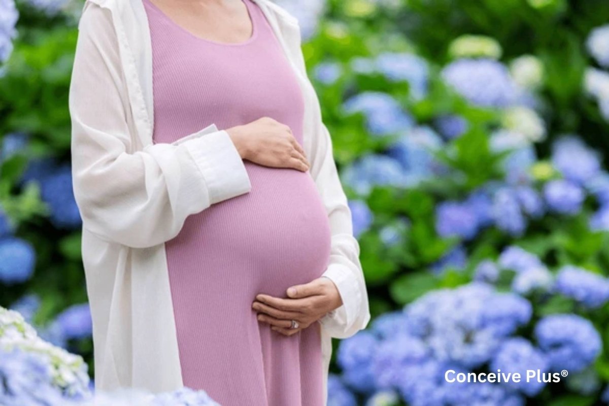 Can Woman Achieve It All? A Look Into Capabilities, Biology, and Boundaries - Conceive Plus®