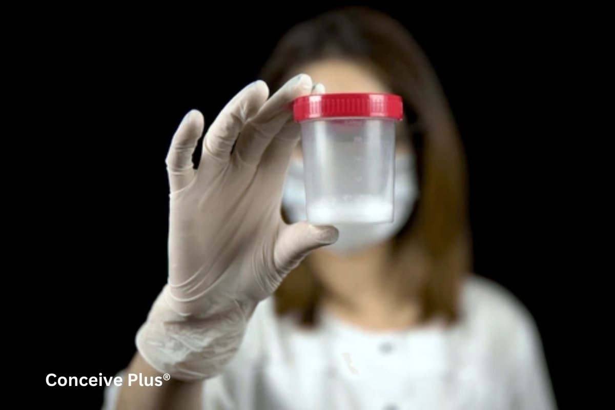Definition of Seminal Fluid: A Thorough Scientific Exploration - Conceive Plus®