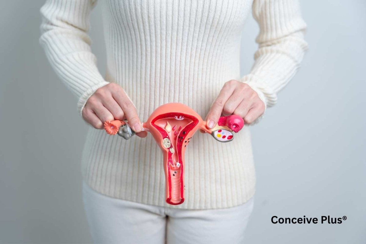 Egg White Cervical Mucus but No LH Surge, EWCM | Conceive Plus Egg White Cervical Mucus but No LH Surge, EWCM | Conceive Plus