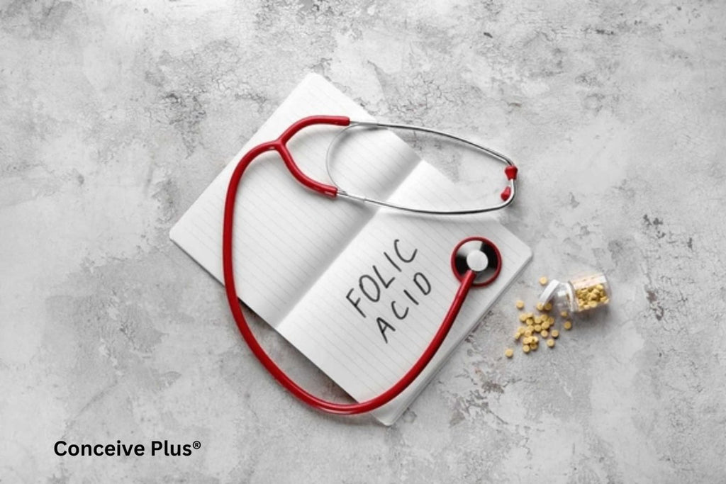 Folic Acid 400mcg: Building Blocks of Cell Health - Conceive Plus®