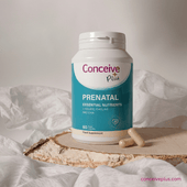 The Complete Guide to Fertility Supplements in 2026: What Actually Works - Conceive Plus®