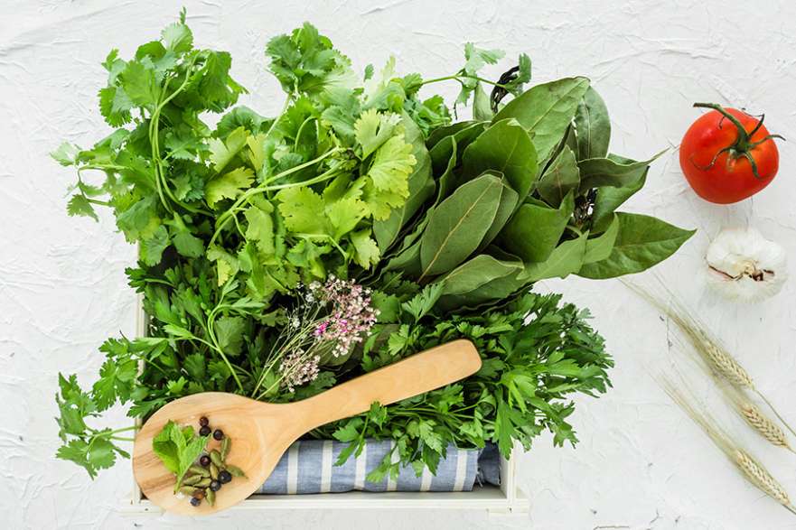 l carnitine best for weight loss L-Carnitine Dosage Explained: A Complete Guide – The Science of Good Health l carnitine best for weight loss L-Carnitine Dosage Explained: A Complete Guide – The Science of Good Health