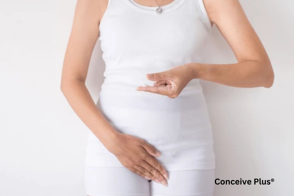 What Does Pregnancy Discharge Look Like Pictures: Understanding Bodily Changes - Conceive Plus®