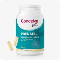 Conceive Plus Prenatal with DHA bottle featuring 60 vegan capsules. Teal and white label highlights essential nutrients including folate, choline, and DHA for pregnancy support. Two beige capsules are shown beside the bottle.