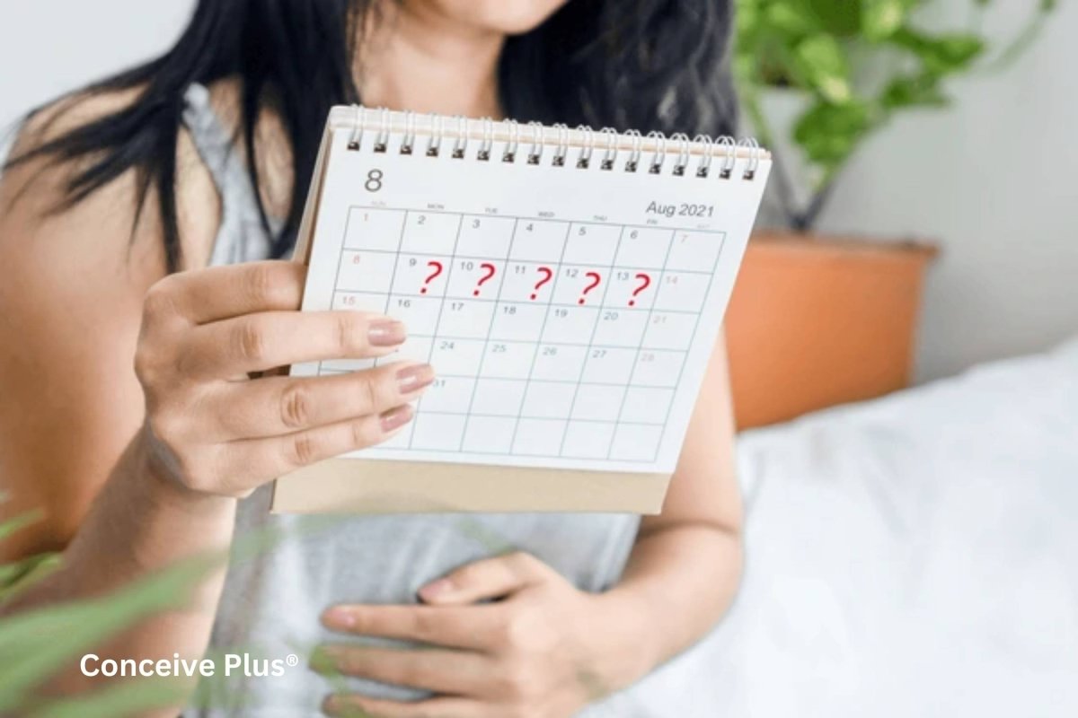 26 Day Menstrual Cycle Getting Pregnant: Navigating The Pregnancy Journey - Conceive Plus®