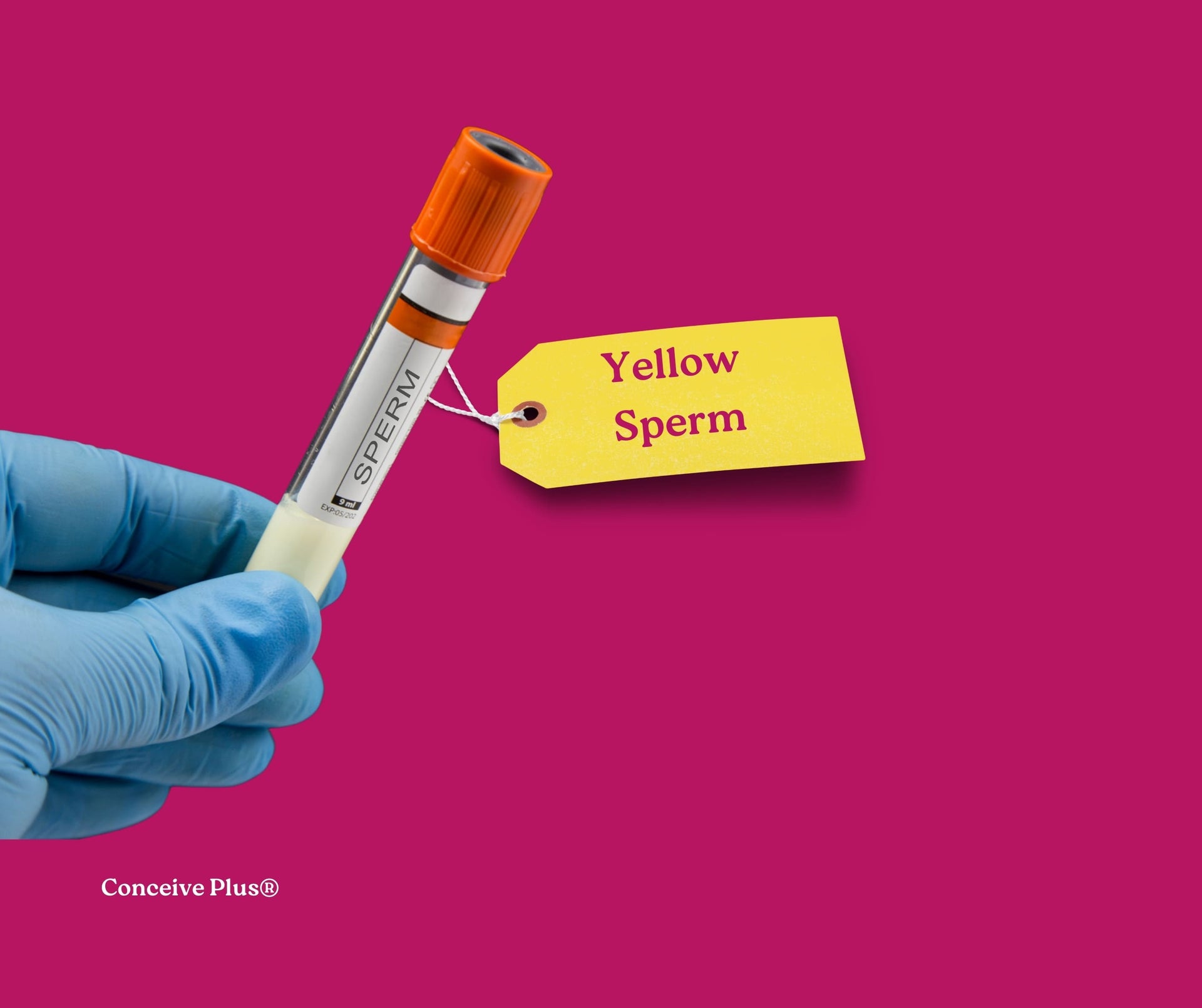 Can Yellow Sperm Get A Girl Pregnant? - Conceive Plus®