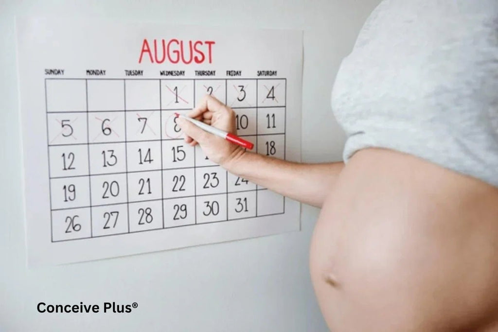 Dating Calculator for Expected Delivery Date During Pregnancy - Conceive Plus®