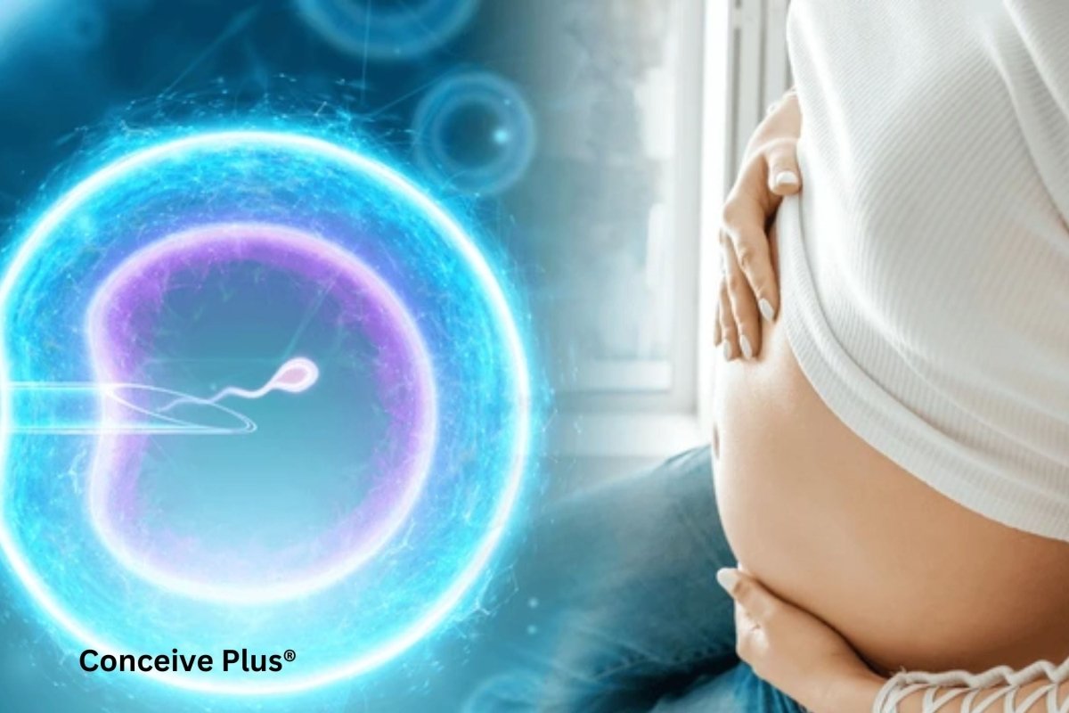 How Long Sperm Will Take to Reach Egg and What Happens During Fertilization - Conceive Plus®