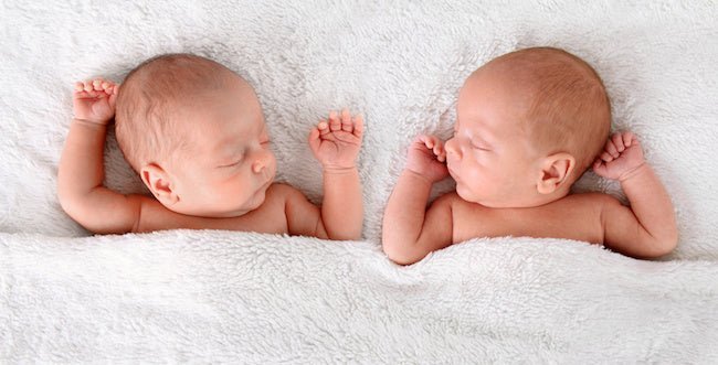 How to get pregnant with twins - Conceive Plus®