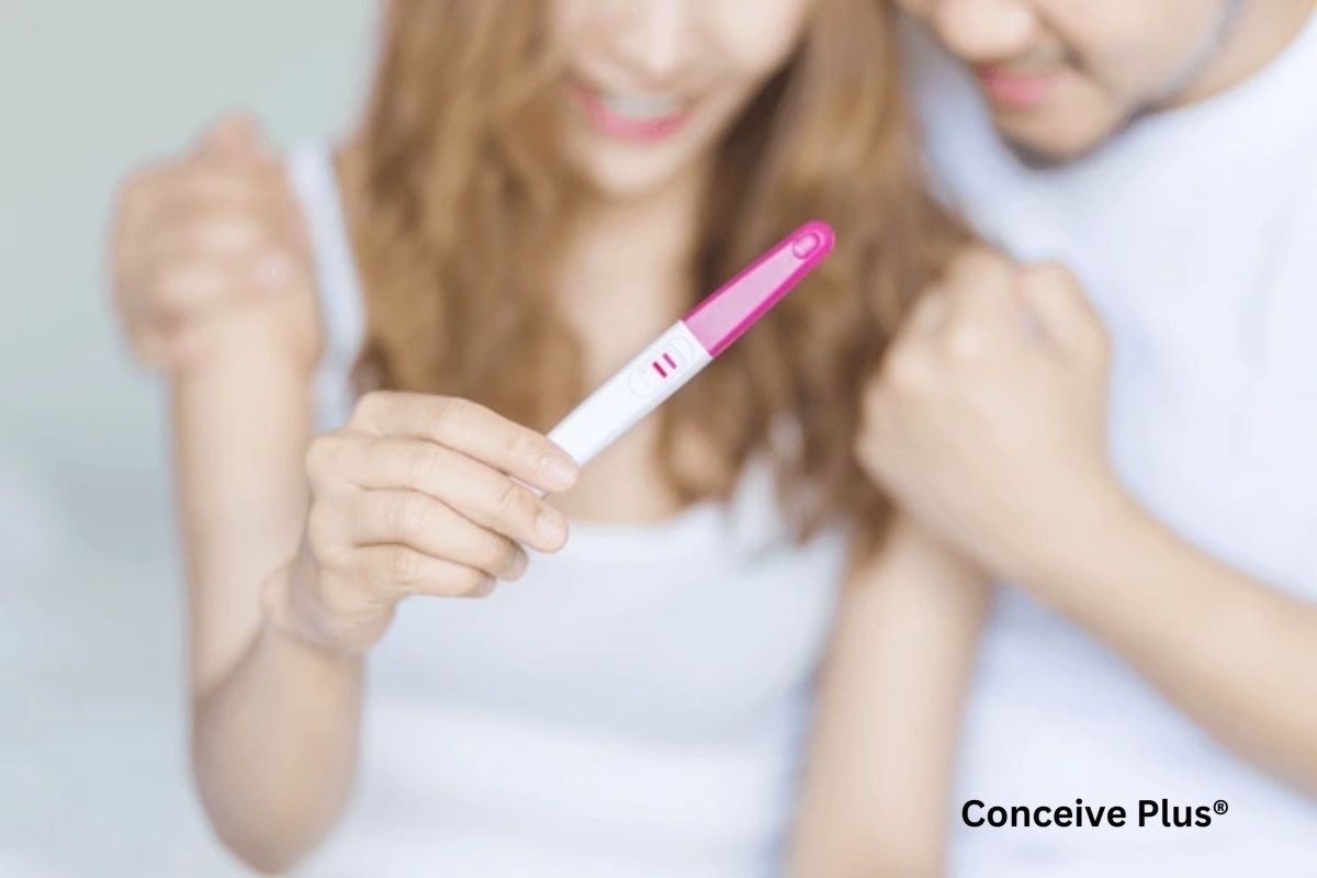 How To Conceive How to Recognize Signs of Fertility in Women | Conceive Plus®