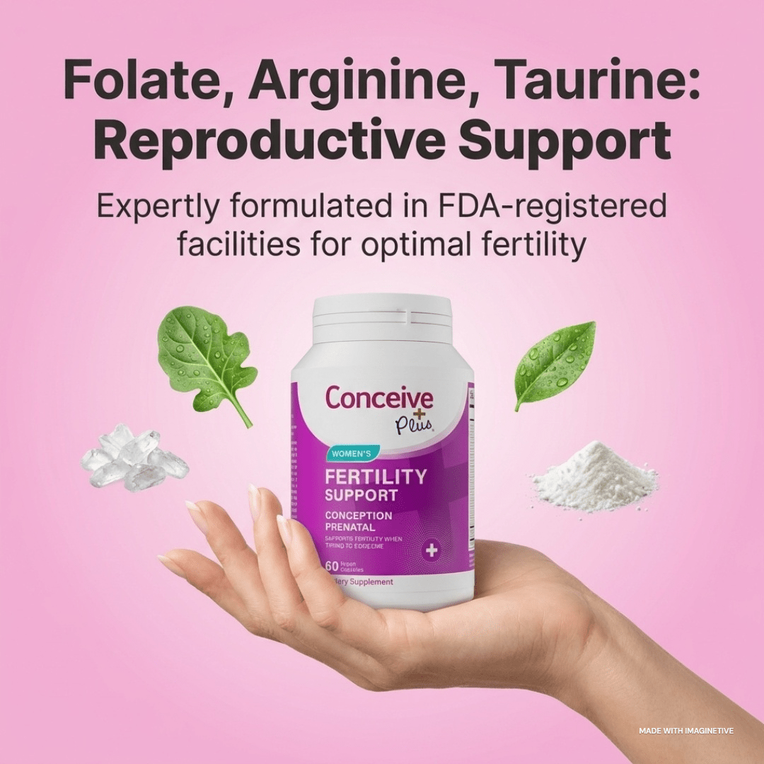 Miscarriage Recovery: A Complete Guide to Healing Your Body and Mind After Pregnancy Loss - Conceive Plus®