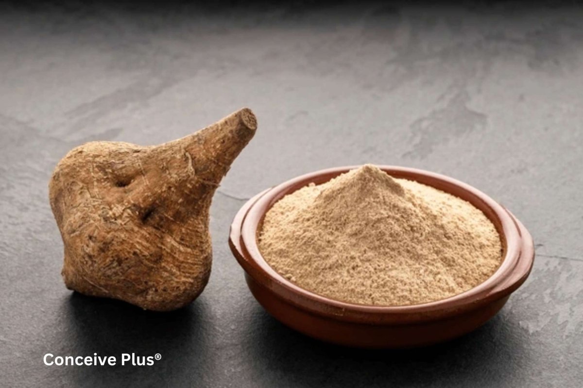 Organic Maca Is the Health World: A Comprehensive Examination - Conceive Plus®