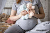 Ovulation Calculator for Twins: Achieving Double the Joy - Conceive Plus®