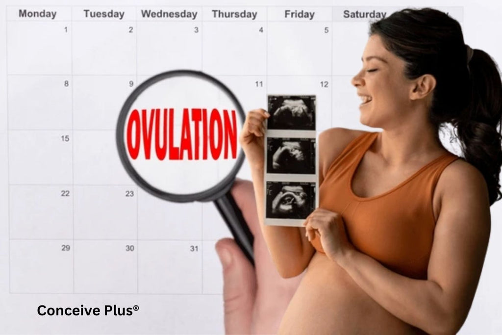 Ovulation Monitor: Mastering Your Fertility Window - Conceive Plus®