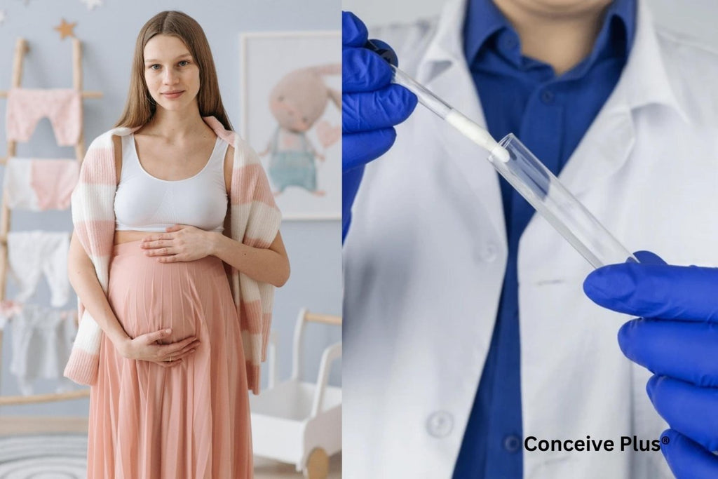 Pre Cum: A Thorough Exploration of Its Role in Sexual Health - Conceive Plus®