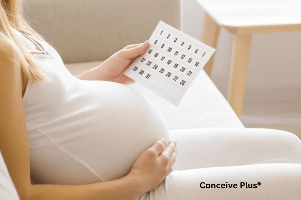 Pregnancy Stomach: Changes, Care, and Emotions: A Detailed Look at the Journey - Conceive Plus®