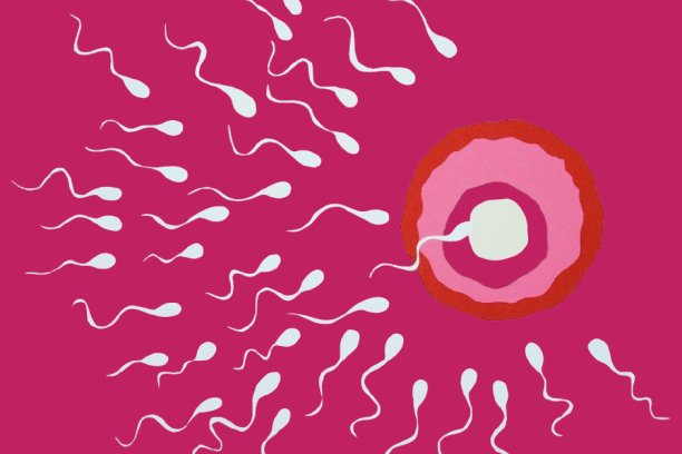 Sperm Videos: How Are They Important For Reproductive Health - Conceive Plus®