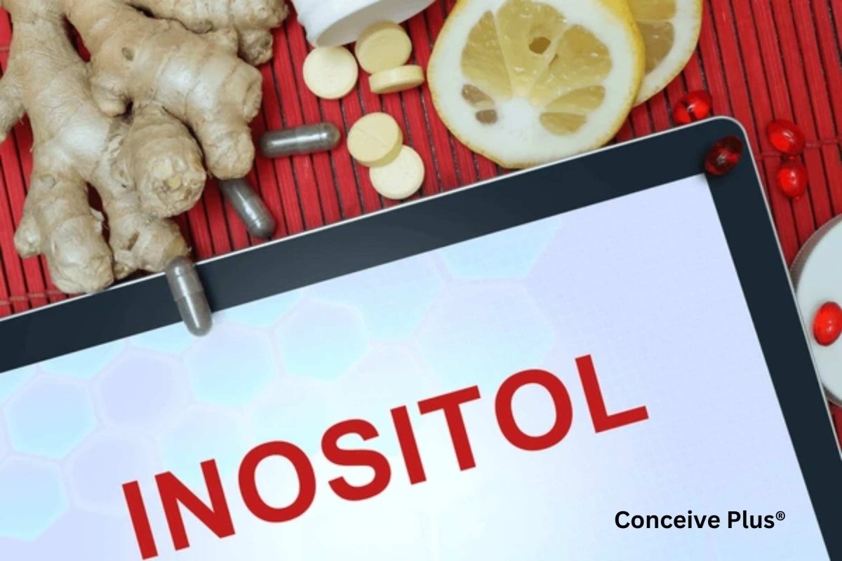 Top Foods Rich in Inositol to Include in Your Diet - Conceive Plus®