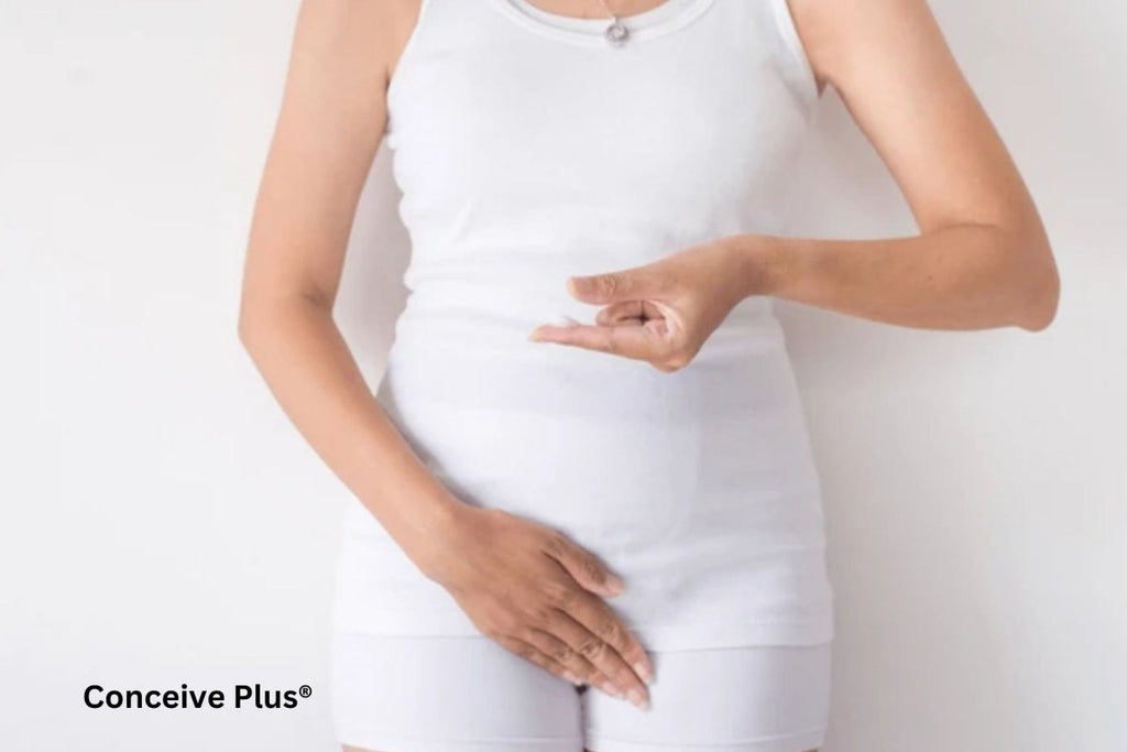 Watery Discharge During Pregnancy: A Comprehensive Guide - Conceive Plus®