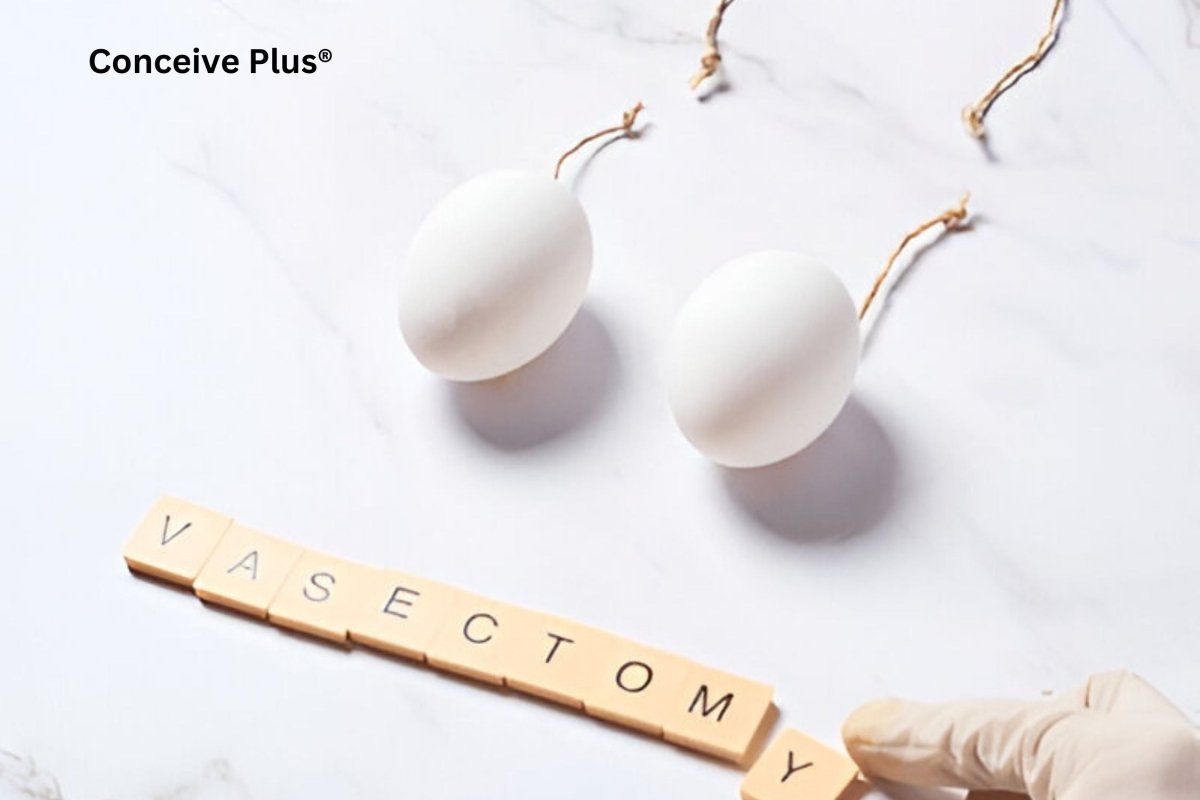 What You Can Expect from Vasectomy Results - Conceive Plus®