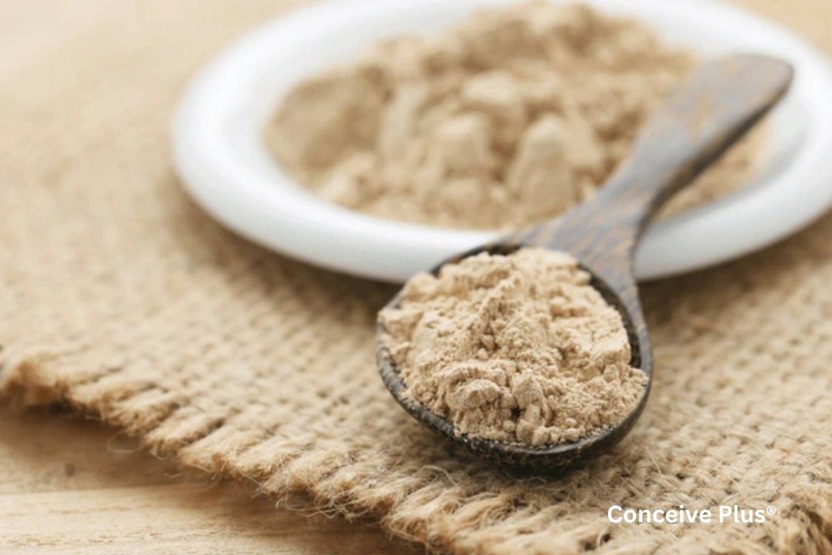 When Is the Best Time to Take Maca Root: Maximizing Male Fertility - Conceive Plus®