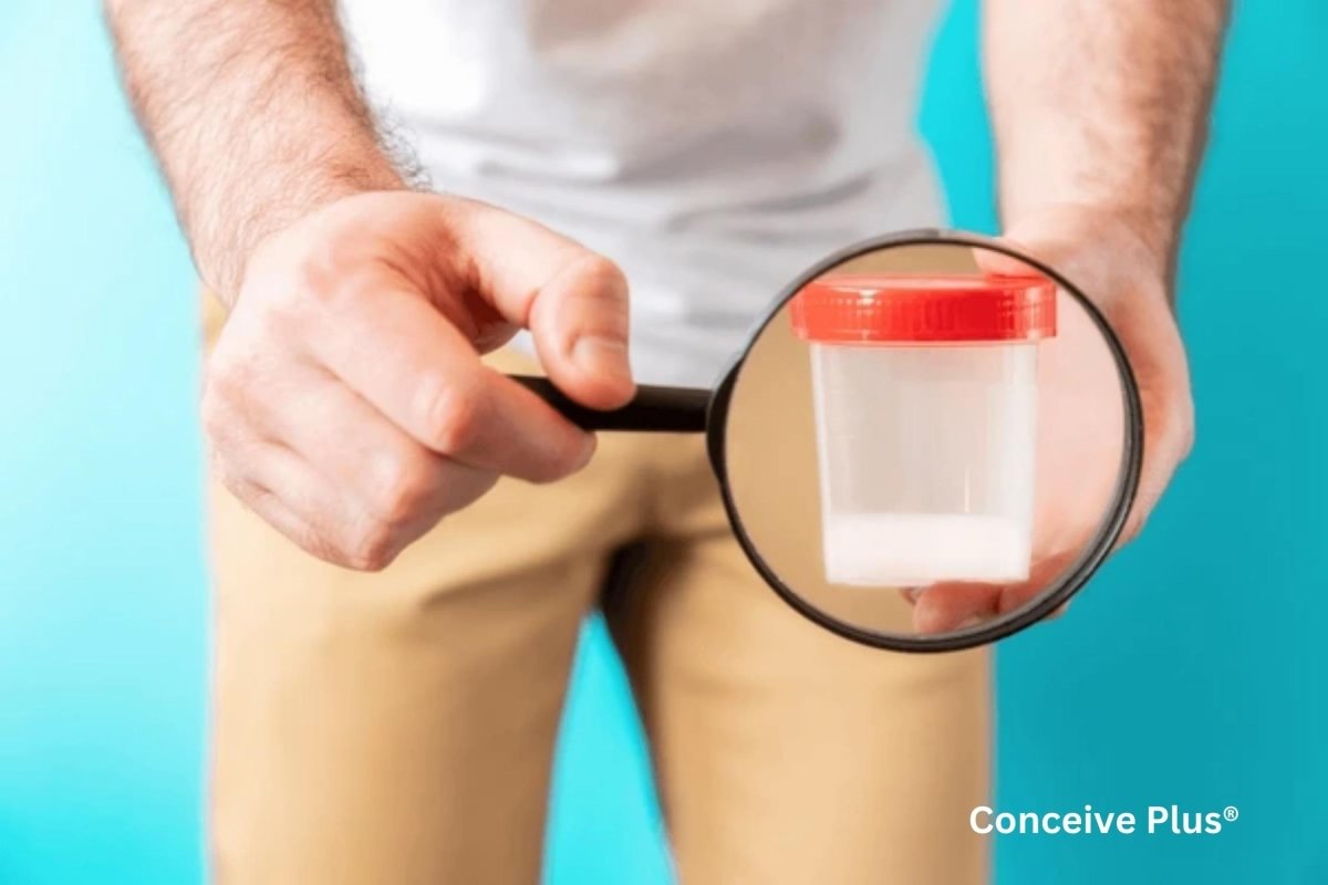 Where Do You Go to Get a Sperm Analysis? - Conceive Plus®