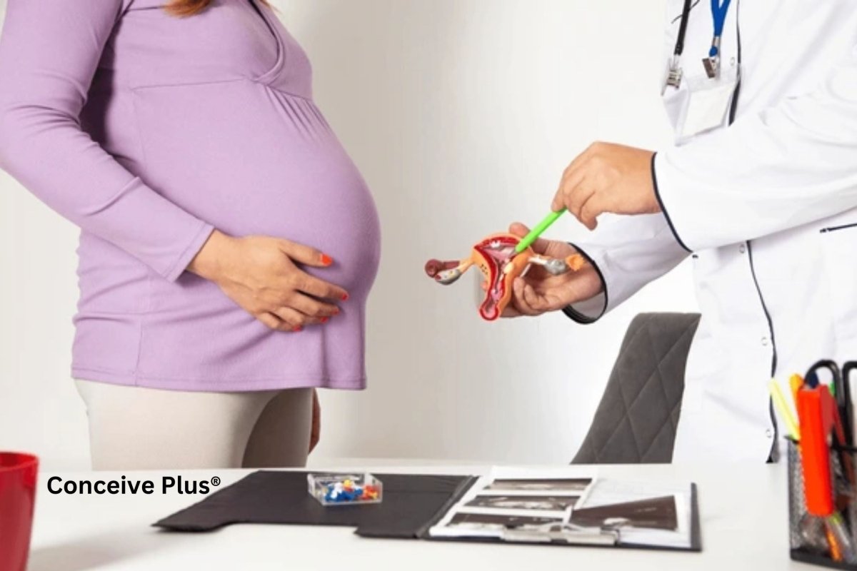 Why Is My Uterus Changing? Exploring Reproductive Health - Conceive Plus®