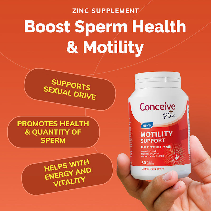 Motility Support