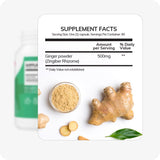 Conceive Plus Morning Sickness Relief supplement facts panel featuring a 500mg dose of ginger powder (Zingiber Rhizome). Includes visual ingredients: whole ginger root, slices, powder in a bowl, and a green leaf on a clean white background.